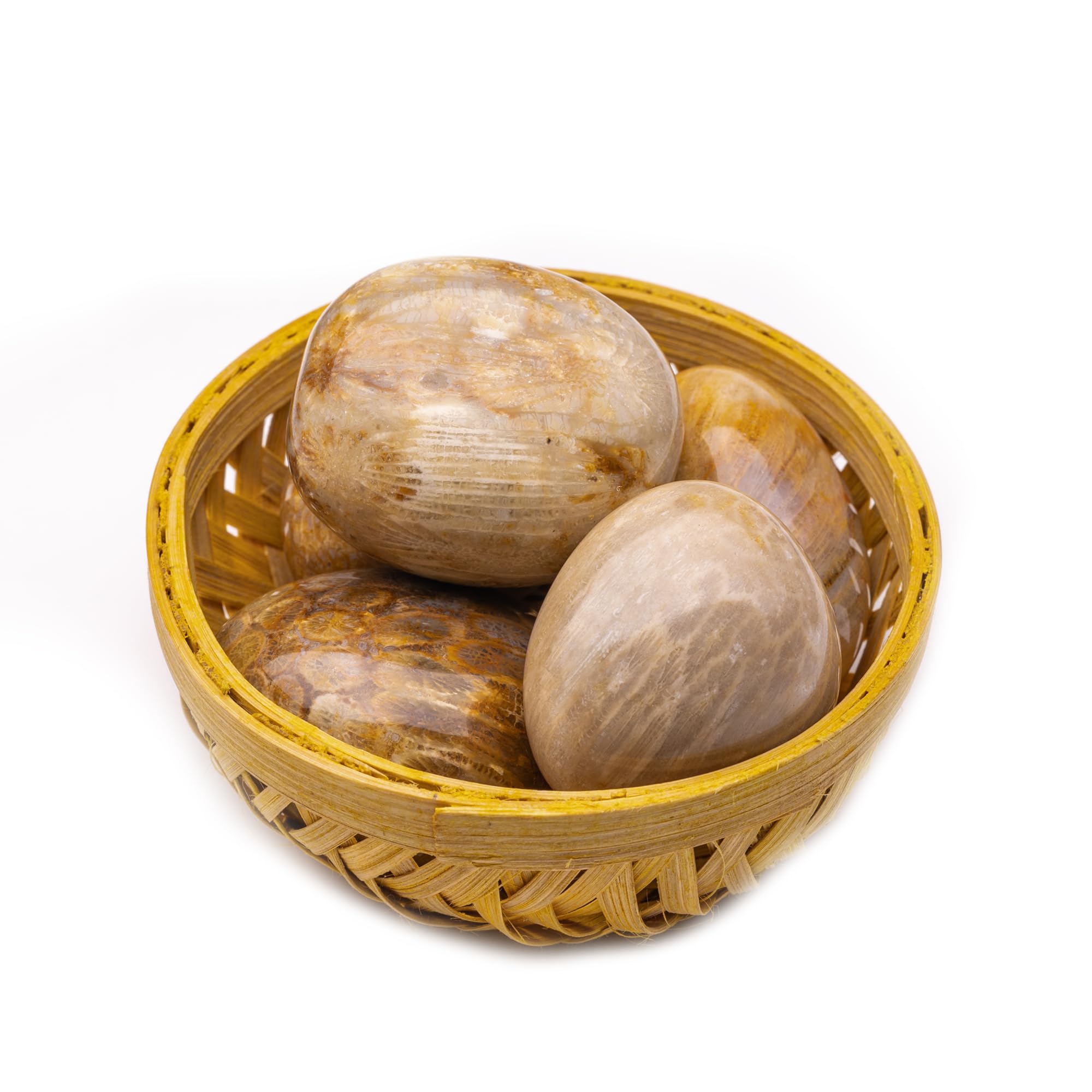 Plus Value Fossil Coral Tumbled Stone Pebbles - Vastu Feng Shui